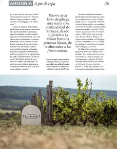 Vista previa de El Corte Inglés catálogo Gourmet, nuevo folleto de la tienda, válido en México a partir del 11.12.2025 | Página: 56 | Productos: Pimienta, Almendra, Sombra, Sobre