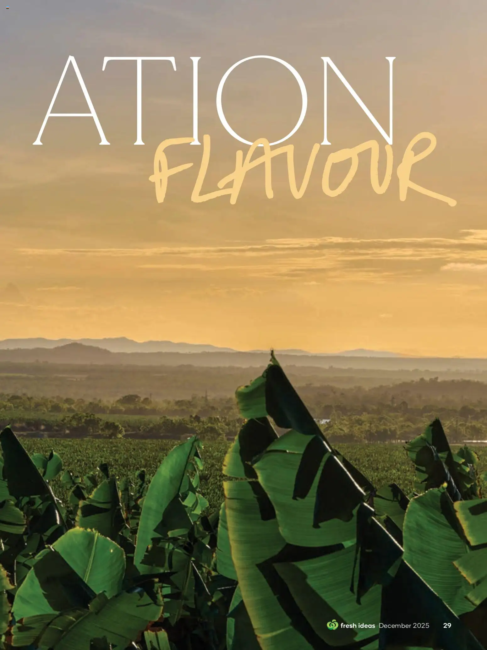 Woolworths catalogue - valid from 01.12.2025 | Page: 29