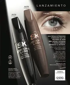 Vista previa Violetta - Violetta Cosméticos válido desde el 30.03.2026 | Página: 9 | Productos: Cepillo, Máscara, Agua