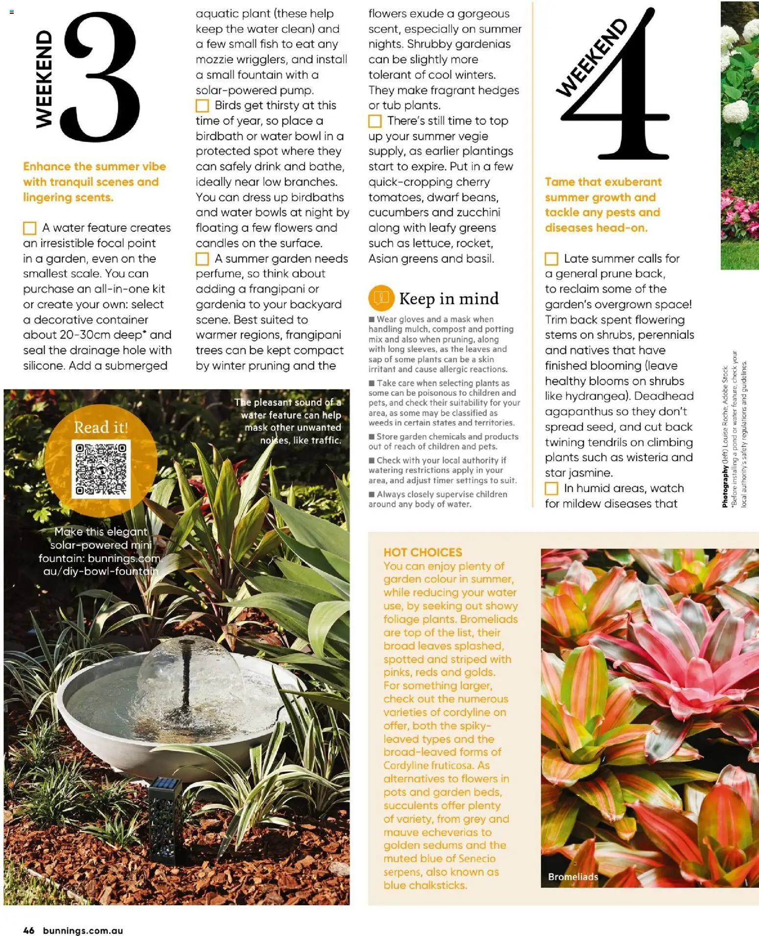 Bunnings Warehouse catalogue - valid from 01.12.2025 | Page: 46 | Products: Cucumbers, Water, Greens, Candles