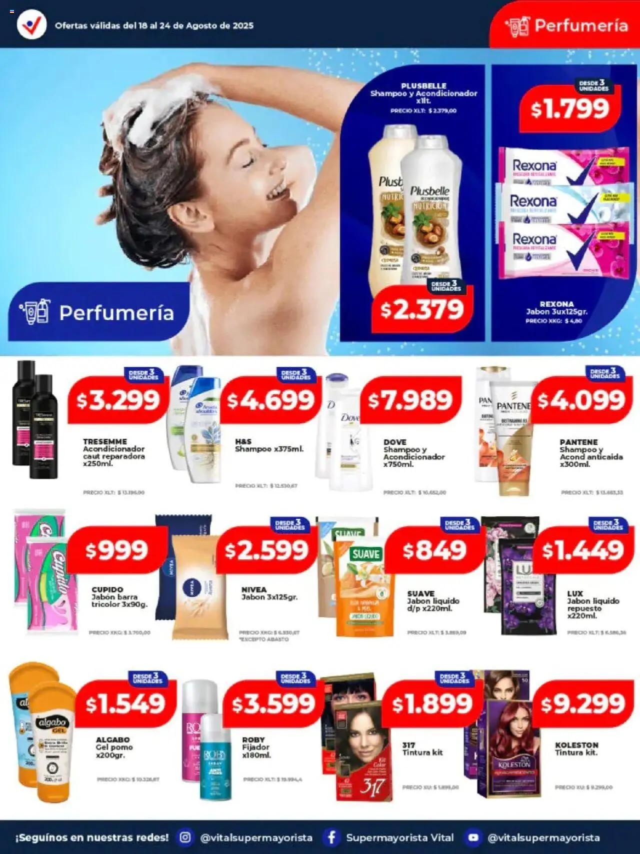 Vital - Ofertas - Abasto │ válido desde el 18.08.2025 | Página: 2 | Productos: Jabón líquido, Shampoo, Tintura, Fijador
