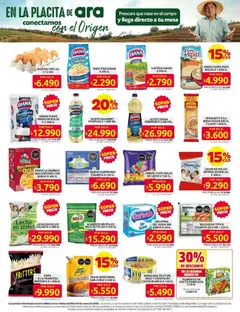 Ara - Catálogo -  Vista previa de la revista de la tienda Ara valido desde el 08.01.2026 | Página: 2