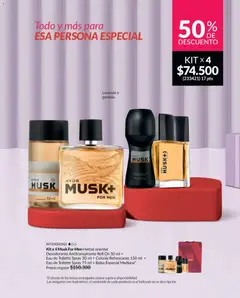 Avon - Catálogo Campaña 02/2026 -  Vista previa de la revista de la tienda Avon valido desde el 01.02.2026 | Página: 47