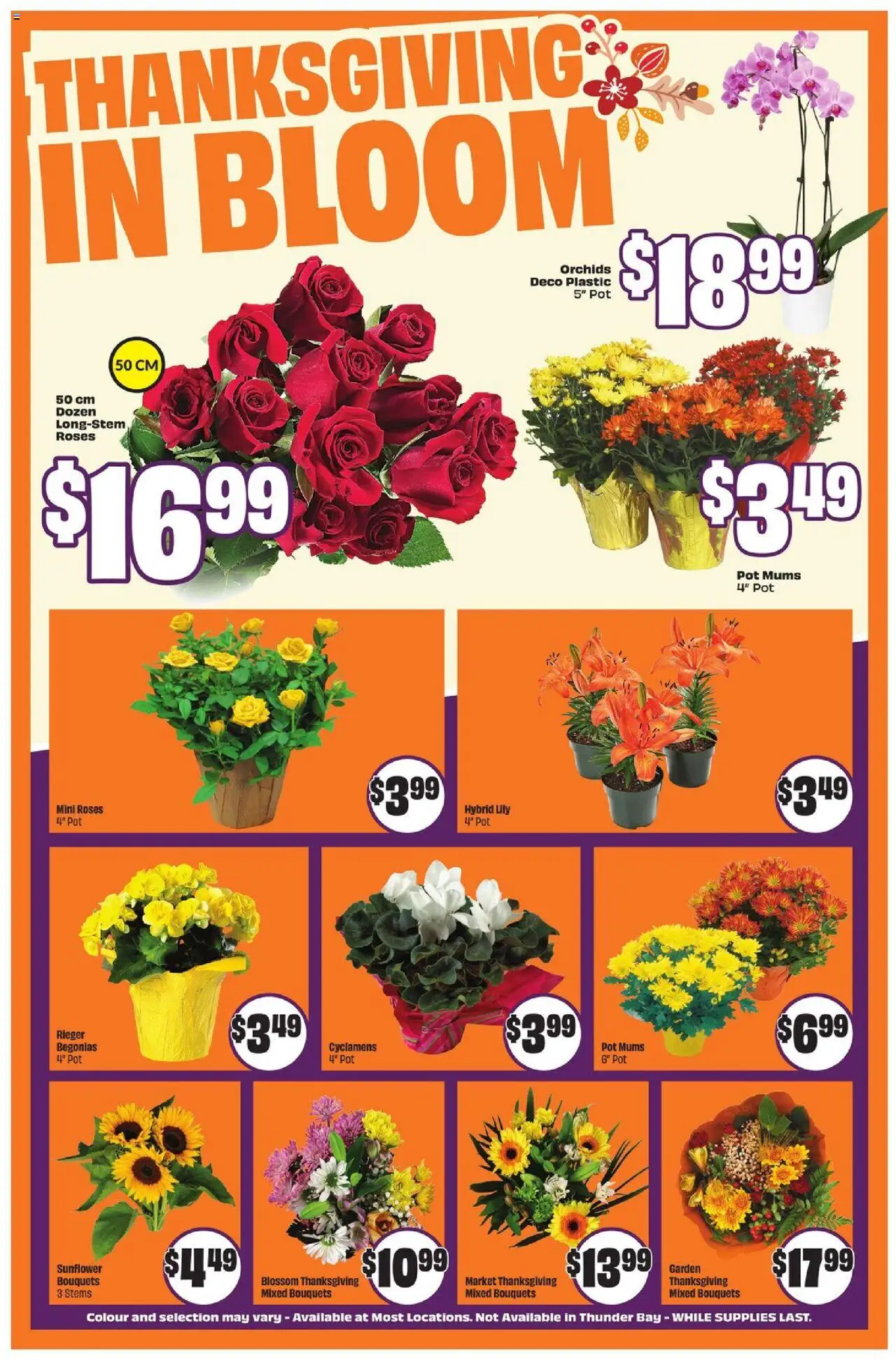 FreshCo flyer valid from 09.10.2025 | Page: 6