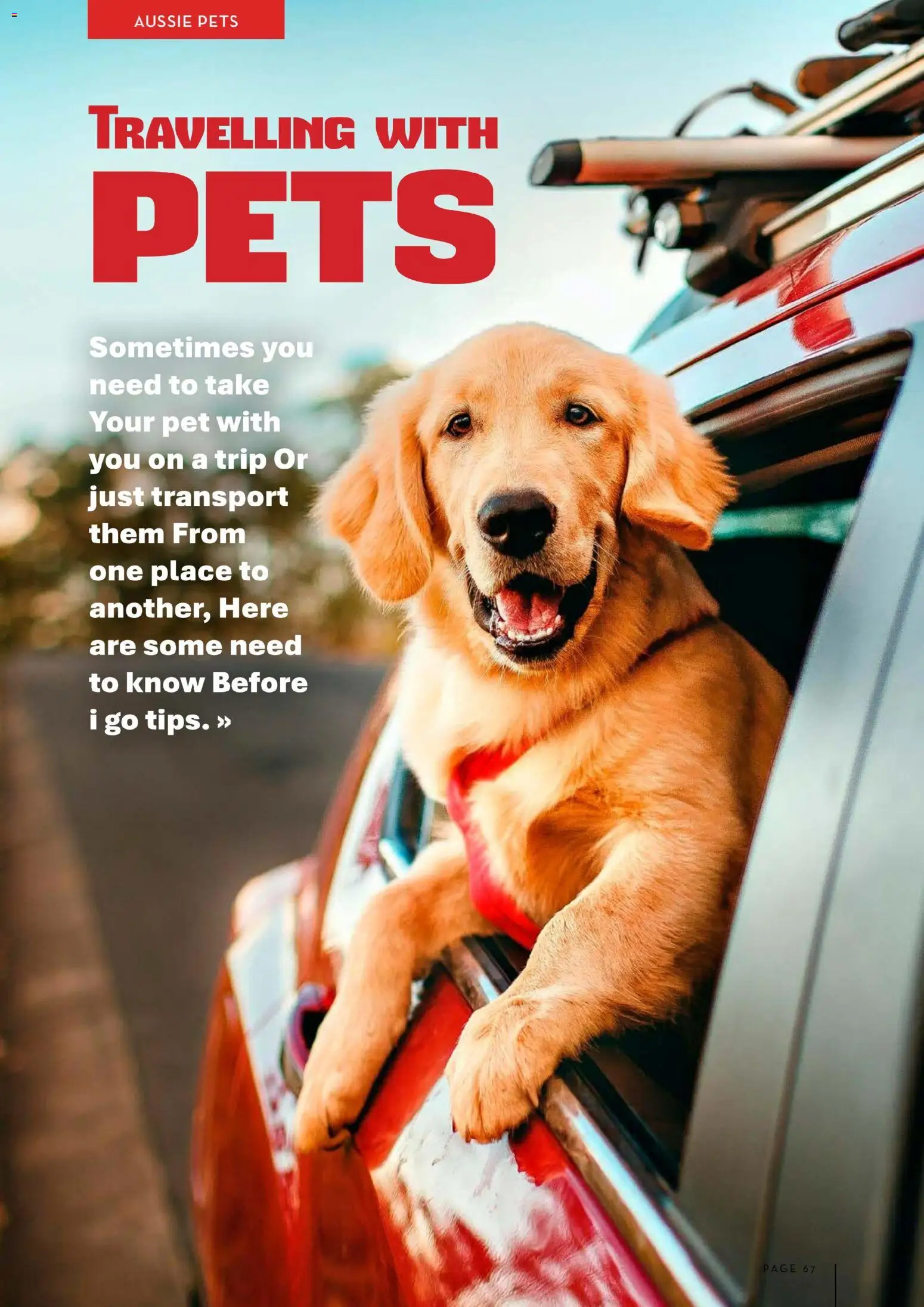 Drakes catalogue - valid from 01.01.2026 | Page: 67