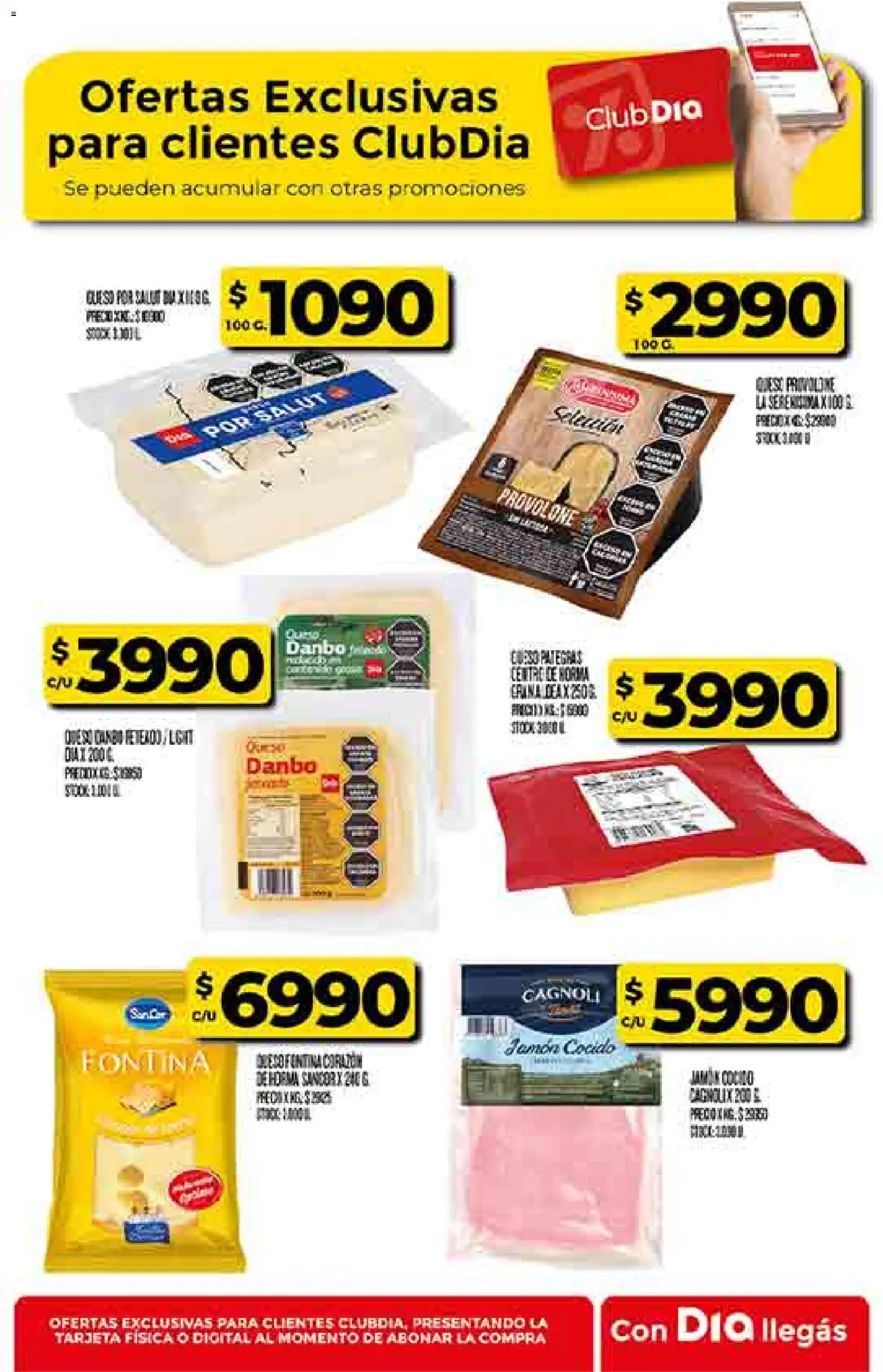 Dia - Ofertas - Salta y Jujuy │ válido desde el 19.11.2025 | Página: 46 | Productos: Jamón cocido, Queso, Jamón