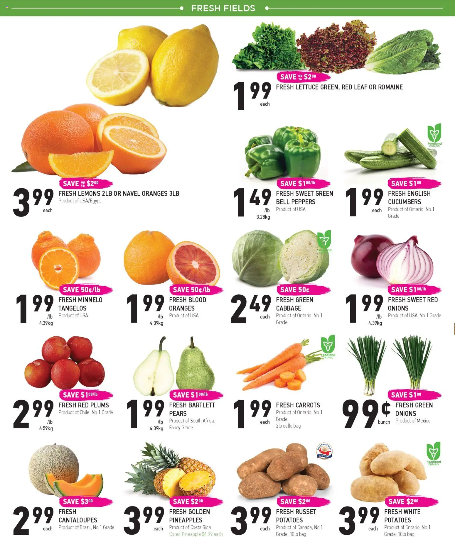 Coppas Fresh Market flyer valid from 19.02.2026 | Page: 2 | Products: Pineapple, Cucumbers, Potatoes, Oranges