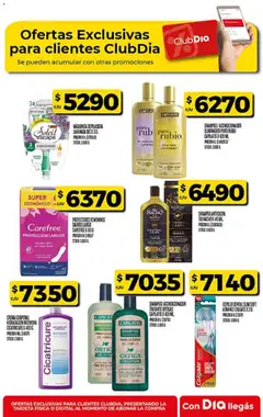 Vista previa Supermercado DIA Ofertas válido desde el 10.12.2025 | Página: 47 | Productos: Cepillo, Shampoo, Acondicionador, Crema