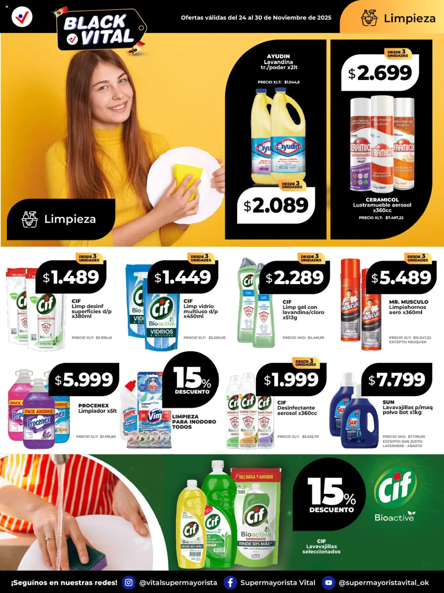 Vital ofertas │ válido desde el 24.11.2025 | Página: 6 | Productos: Lavandina, Lavavajillas, Inodoro, Detergente