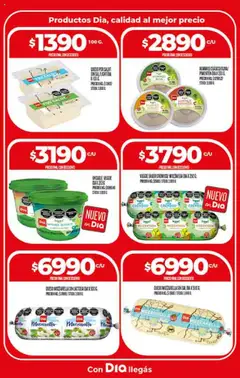 Supermercado DIA Ofertas │ válido desde el 06.08.2025 | Página: 12 | Productos: Sal, Pimentón, Queso
