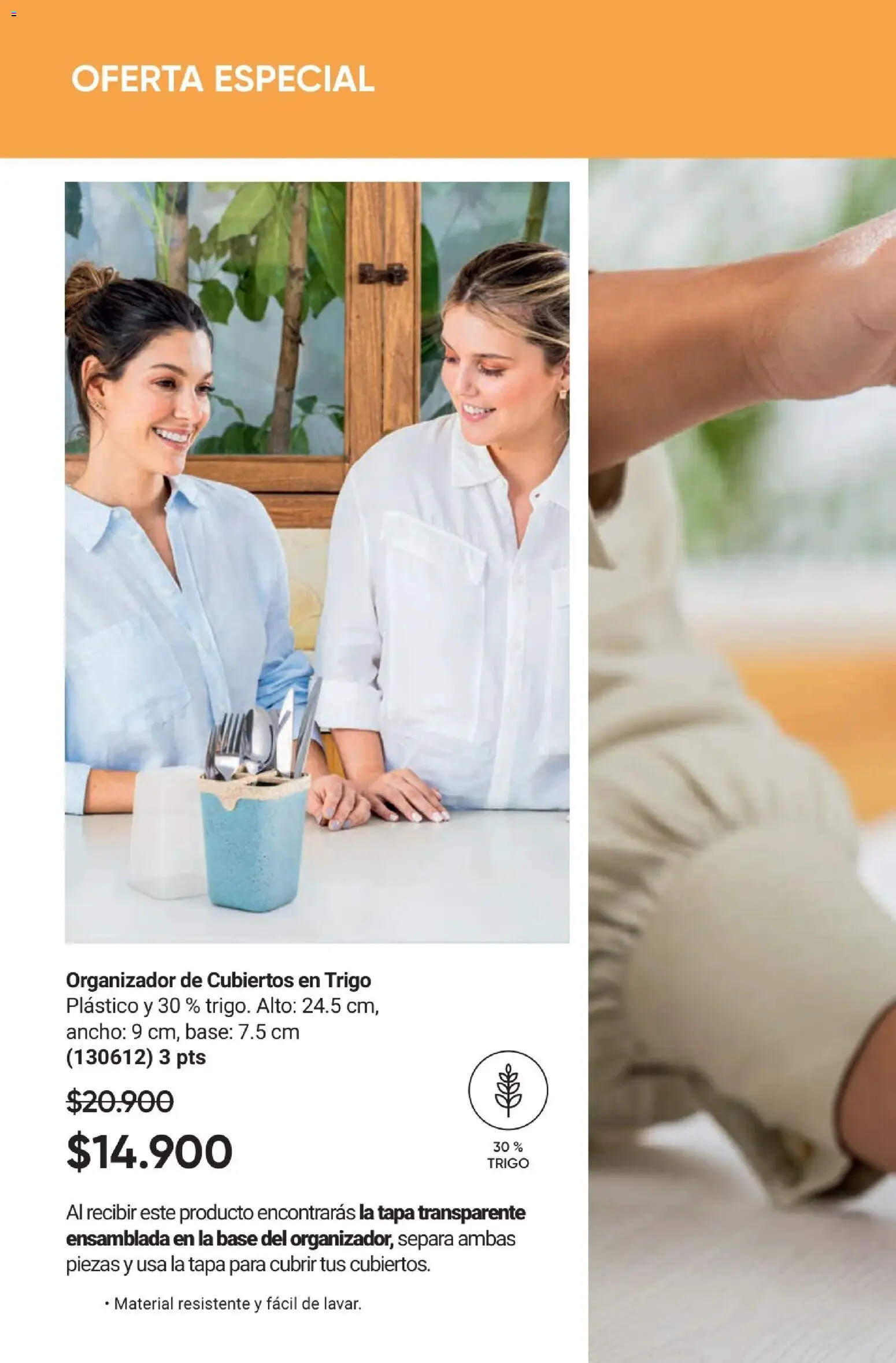 Avon revista - valida desde el 01.12.2025 | Página: 28 | Productos: Organizador