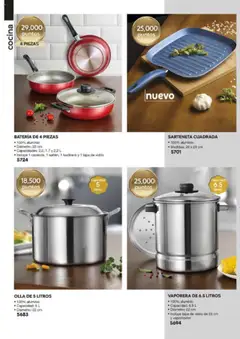 Nuevas ofertas de Fuller válidas en toda la República Mexicana desde el 13.06.2025. ¡Encuentra las mejores ofertas en OLLA DE 5 LITROS, 100% aluminio, Capacidad: 5 L, Diámetro: 22 cm! | Página: 8