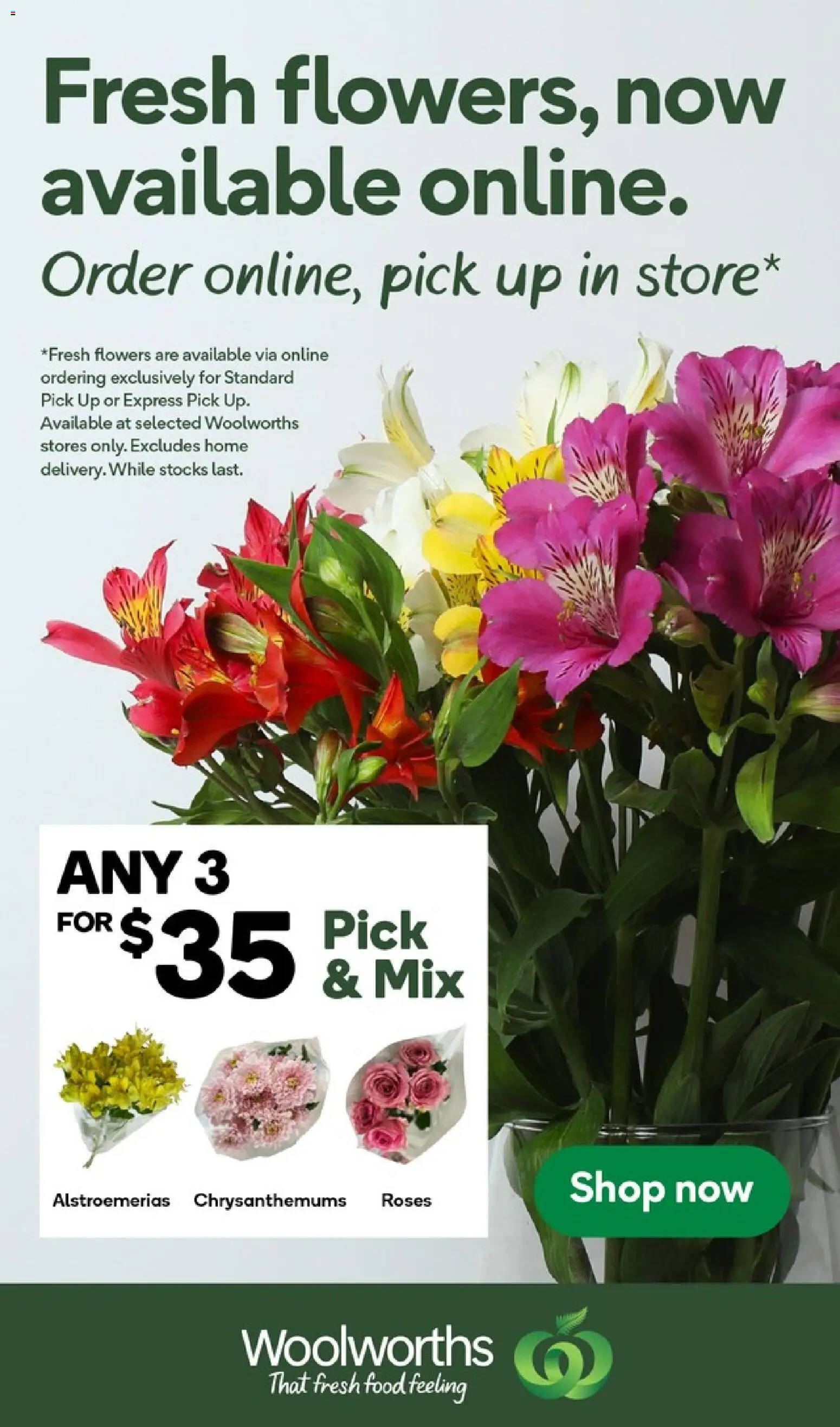 Woolworths catalogue from 27.04.2026 | Page: 17