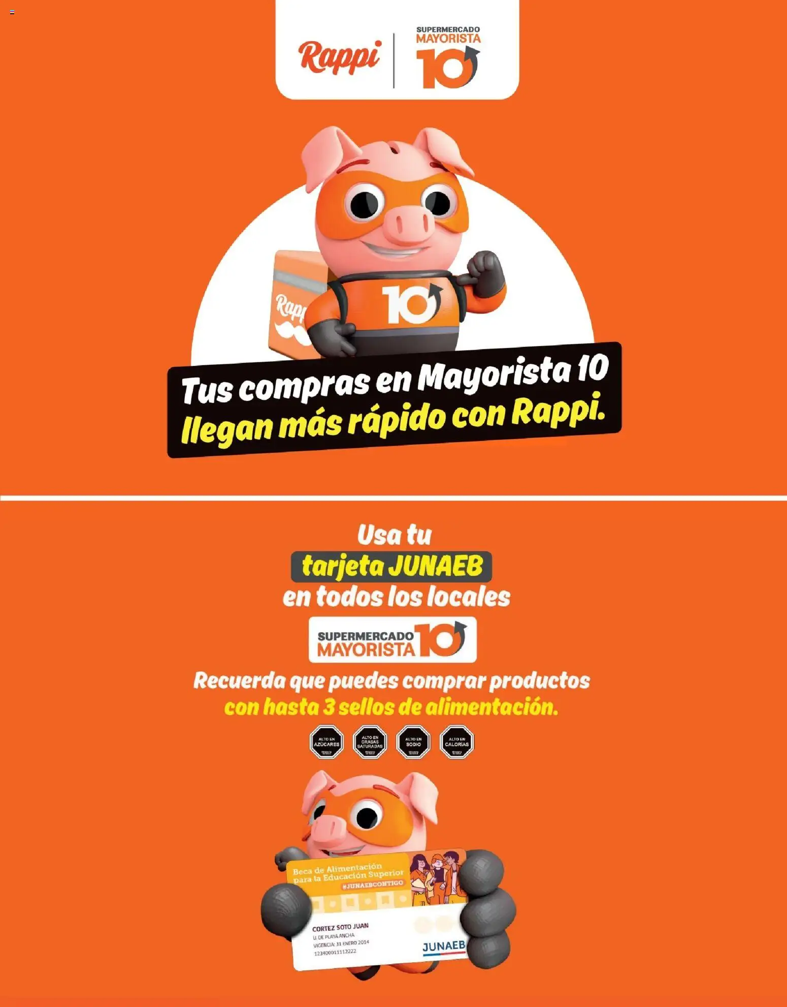 Mayorista 10 Ofertas │ válido desde el 27.10.2025 | Página: 20