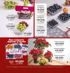 Olímpica - Sabores de Navidad -  Vista previa de la revista de la tienda Olímpica valido desde el 30.11.2025 | Página: 10 | Productos: Arándanos, Bolsa, Caja, Uva