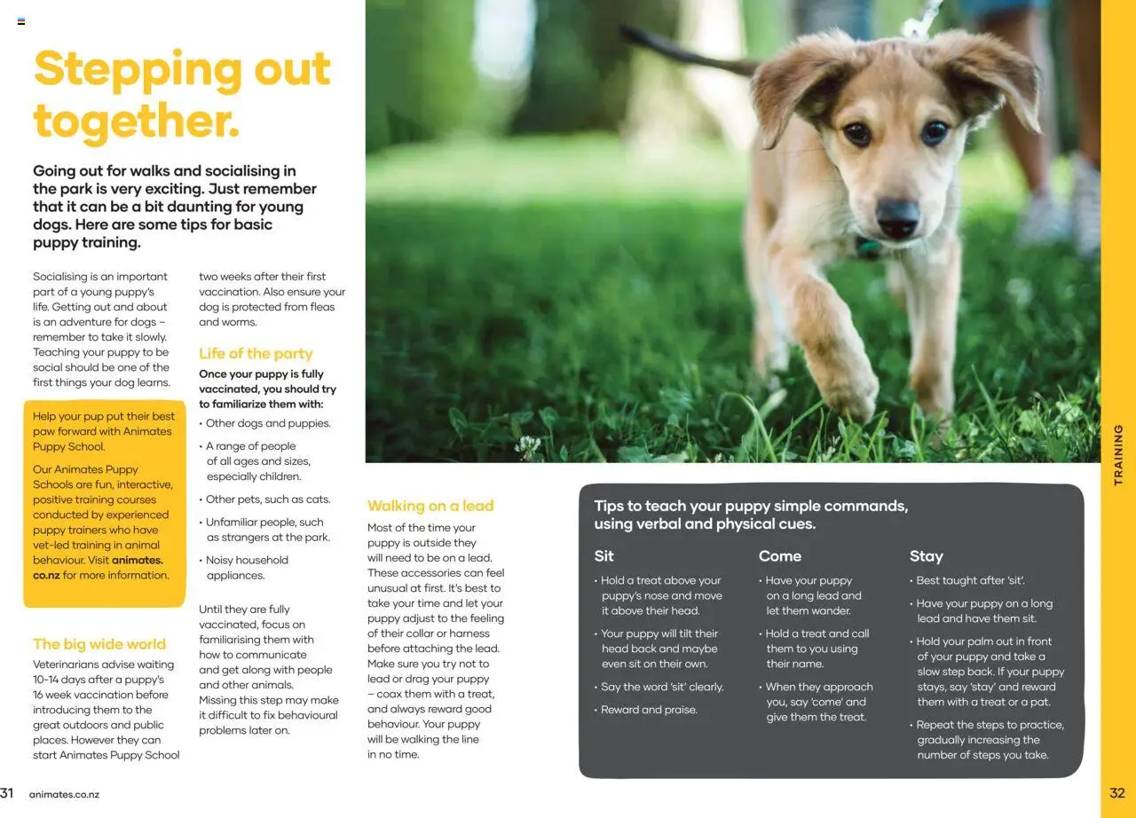 Animates catalogue from 01.01.2024 | Page: 17