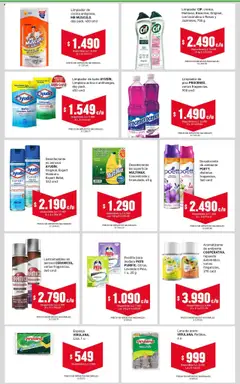 Cooperativa Obrera catálogo │ válido desde el 17.07.2025 | Página: 30 | Productos: Lustramuebles, Fragancia, Limón, Hongos