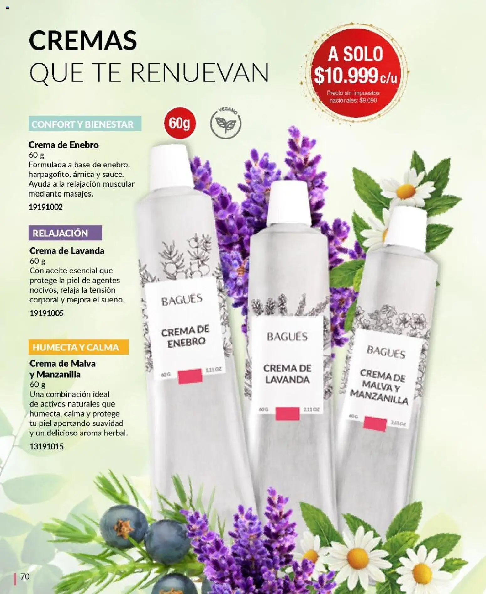 Bagués - Catálogo │ válido desde el 17.11.2025 | Página: 70 | Productos: Aceite, Té, Crema