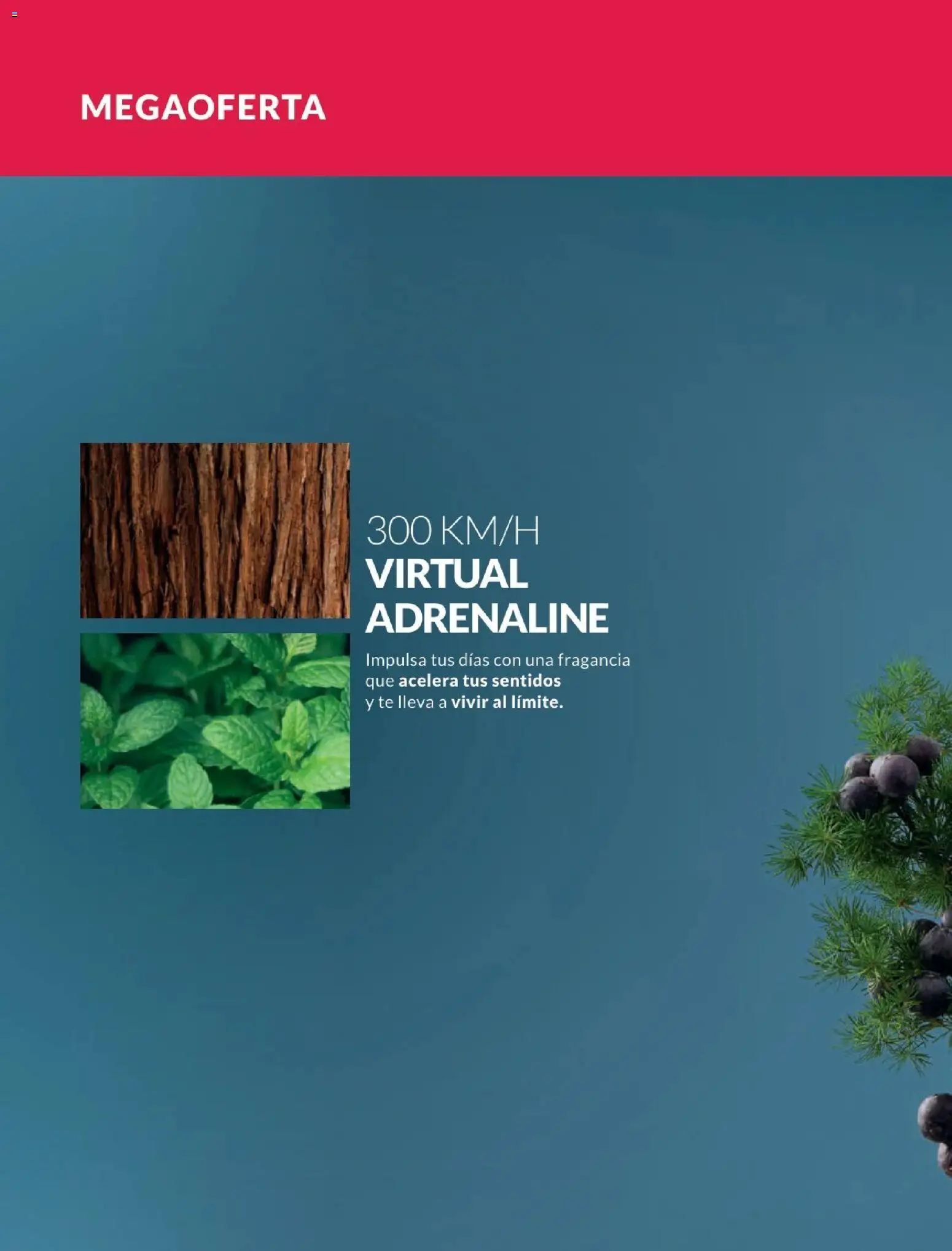 Catálogo Avon válido desde 01.12.2025 | Página: 107