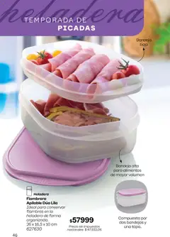 Vista previa Tupperware - Campaña 17/2025 válido desde el 13.10.2025 | Página: 47 | Productos: Bandeja, Cera, Heladera