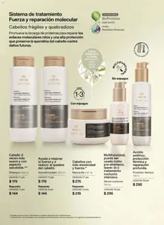 Vista previa de Natura campaña 2 2026, nuevo folleto de la tienda, válido en México a partir del 10.01.2026 | Página: 152