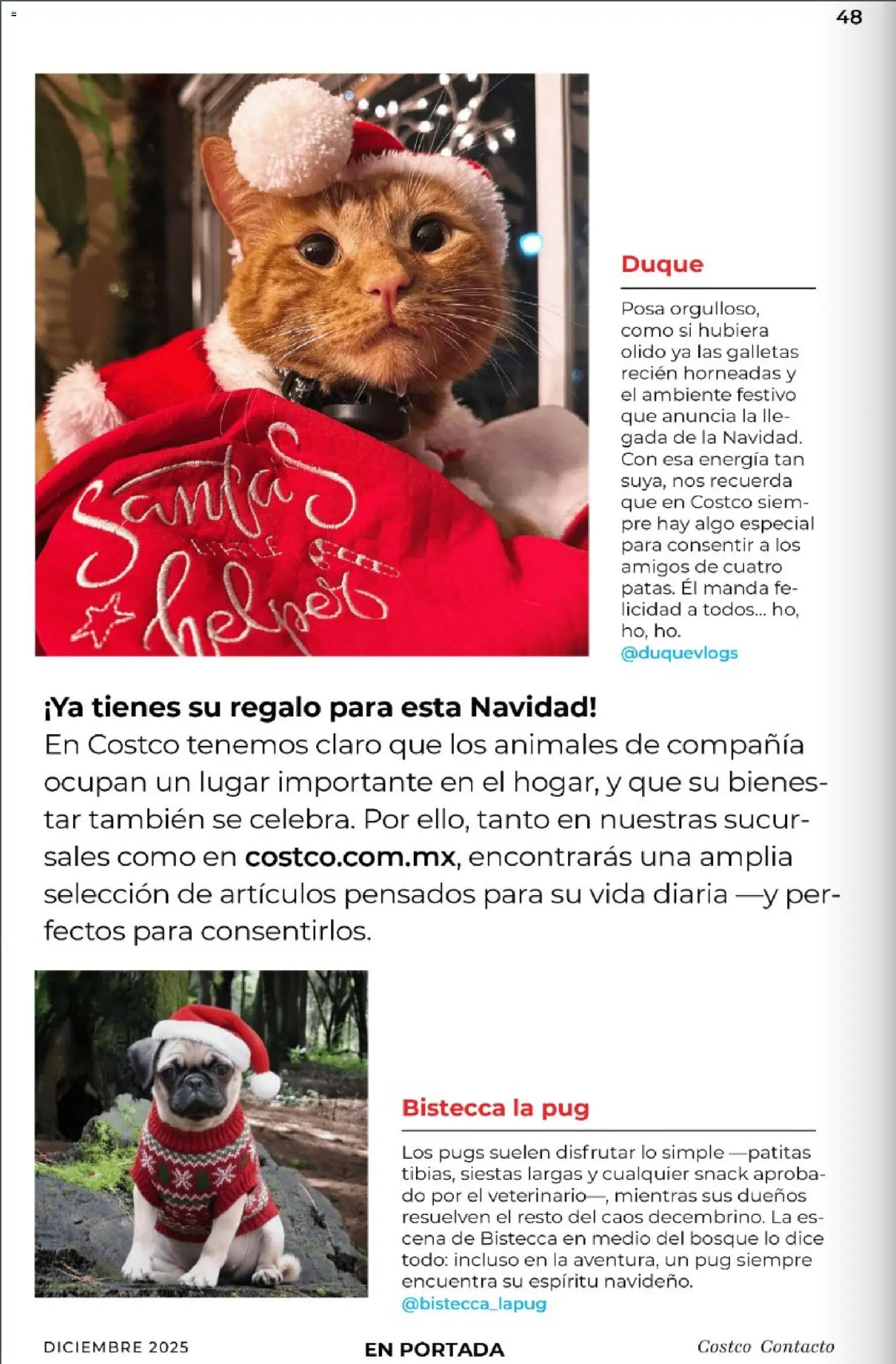 Nuevas ofertas de Costco válidas en toda la República Mexicana desde el 01.12.2025. ¡Encuentra las mejores ofertas en Costco Revista Diciembre! | Página: 48 | Productos: Sales, Galletas