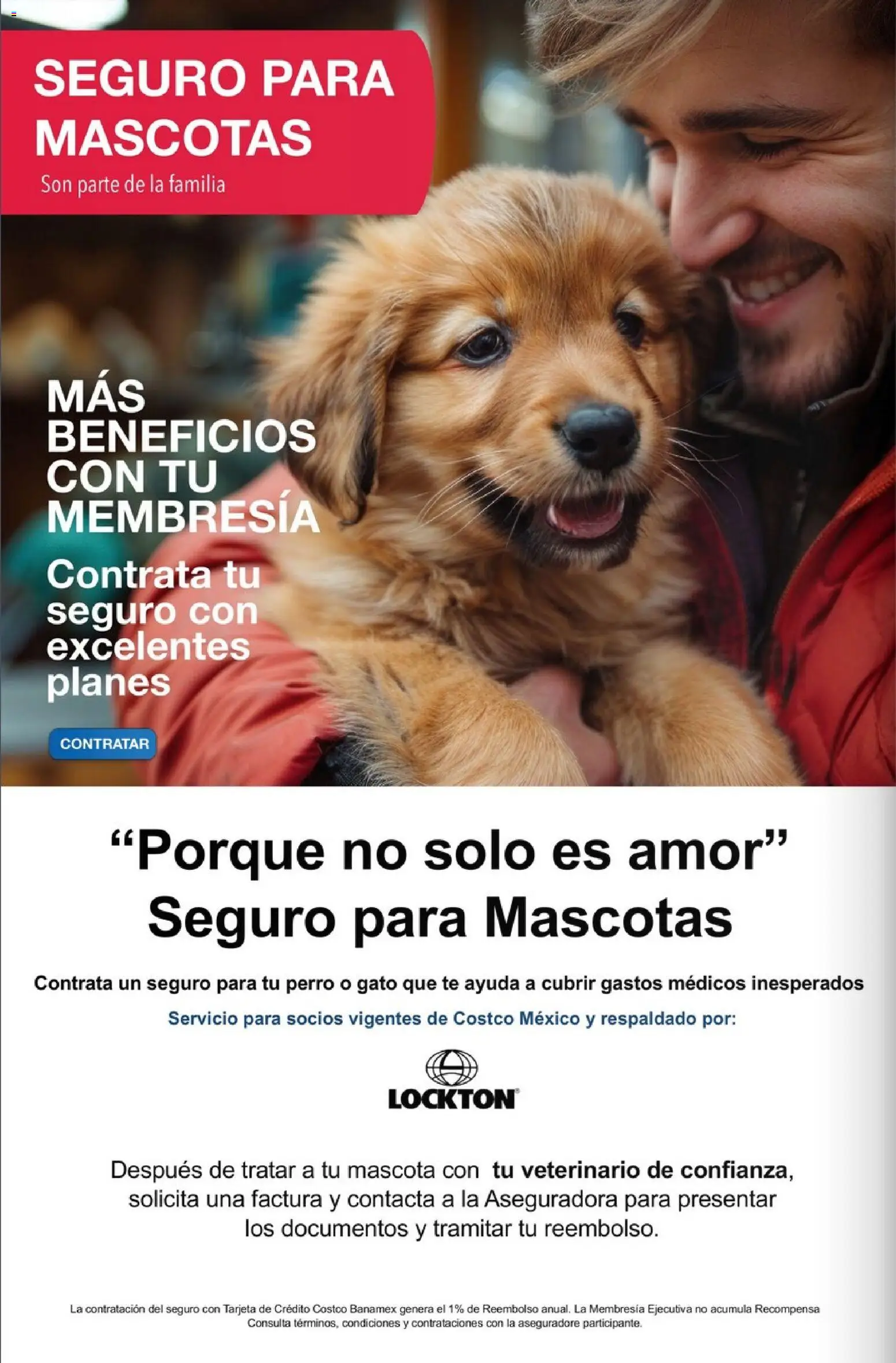 Nuevas ofertas de Costco válidas en toda la República Mexicana desde el 01.04.2026. ¡Encuentra las mejores ofertas en Costco Revista Abril 2026! | Página: 34 | Productos: Té