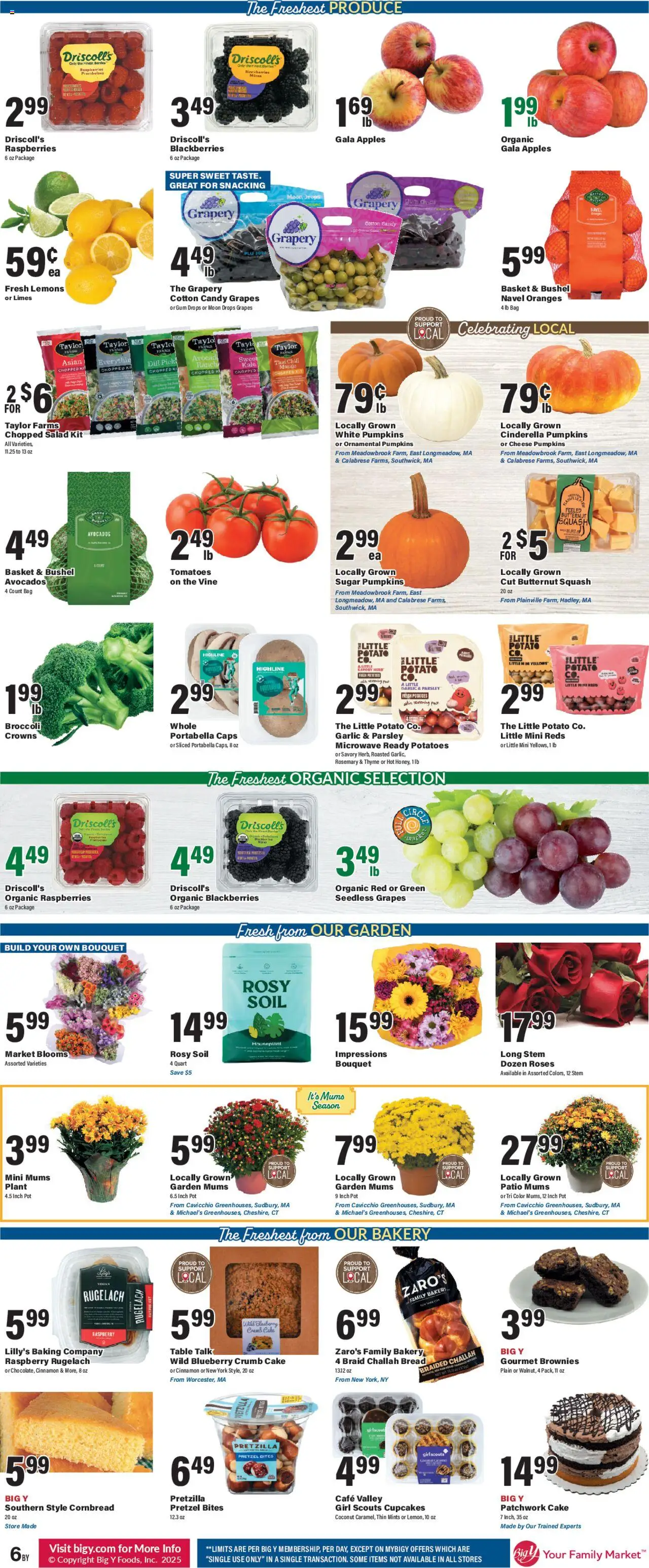 Big Y Weekly Ad - valid from 25.09.2025 | Page: 10 | Products: Apples, Oranges, Tomatoes, Avocado