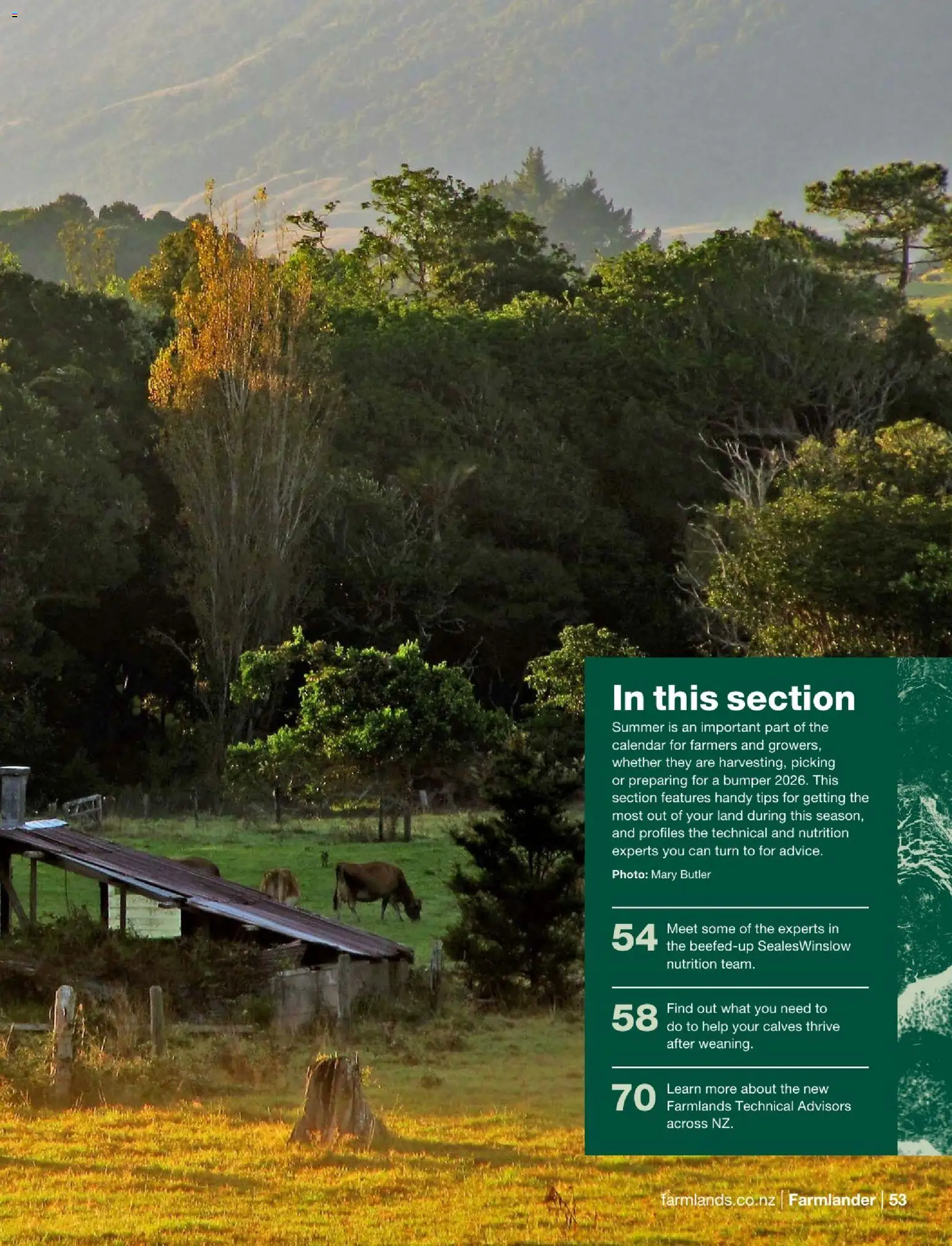 Farmlands catalogue from 01.12.2025 | Page: 55