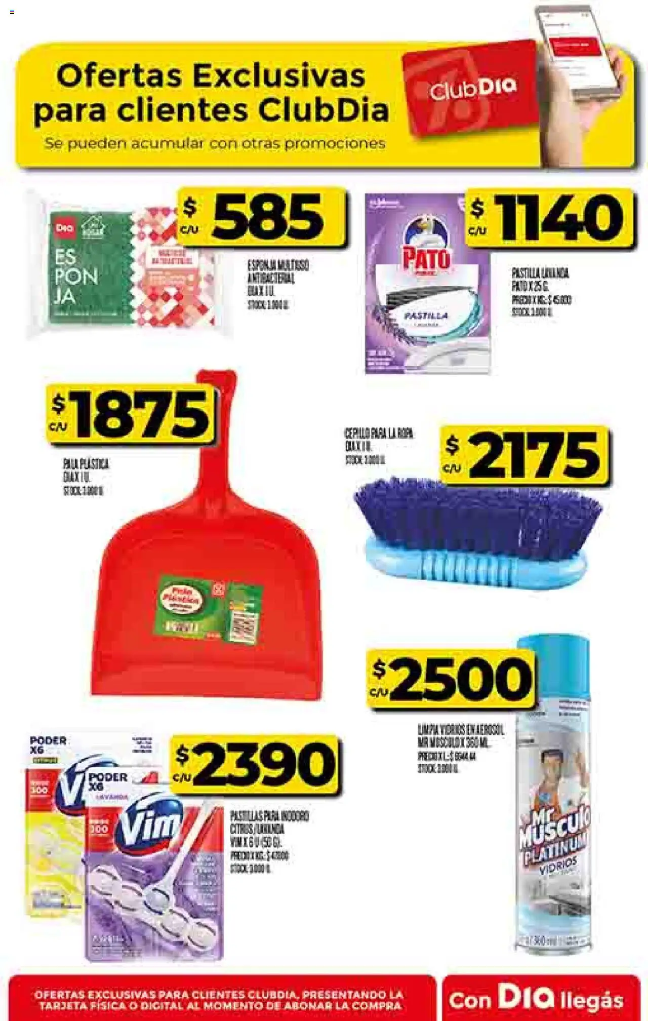 Dia - Ofertas - Salta y Jujuy │ válido desde el 15.10.2025 | Página: 58 | Productos: Inodoro, Cepillo, Esponja