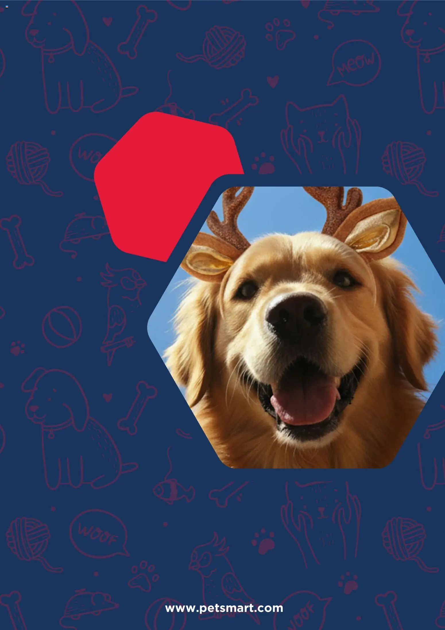 Petsmart Weekly Ad - valid from 08.12.2025 | Page: 7