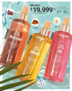 Carmel revista - valida desde el 08.09.2025 | Página: 41