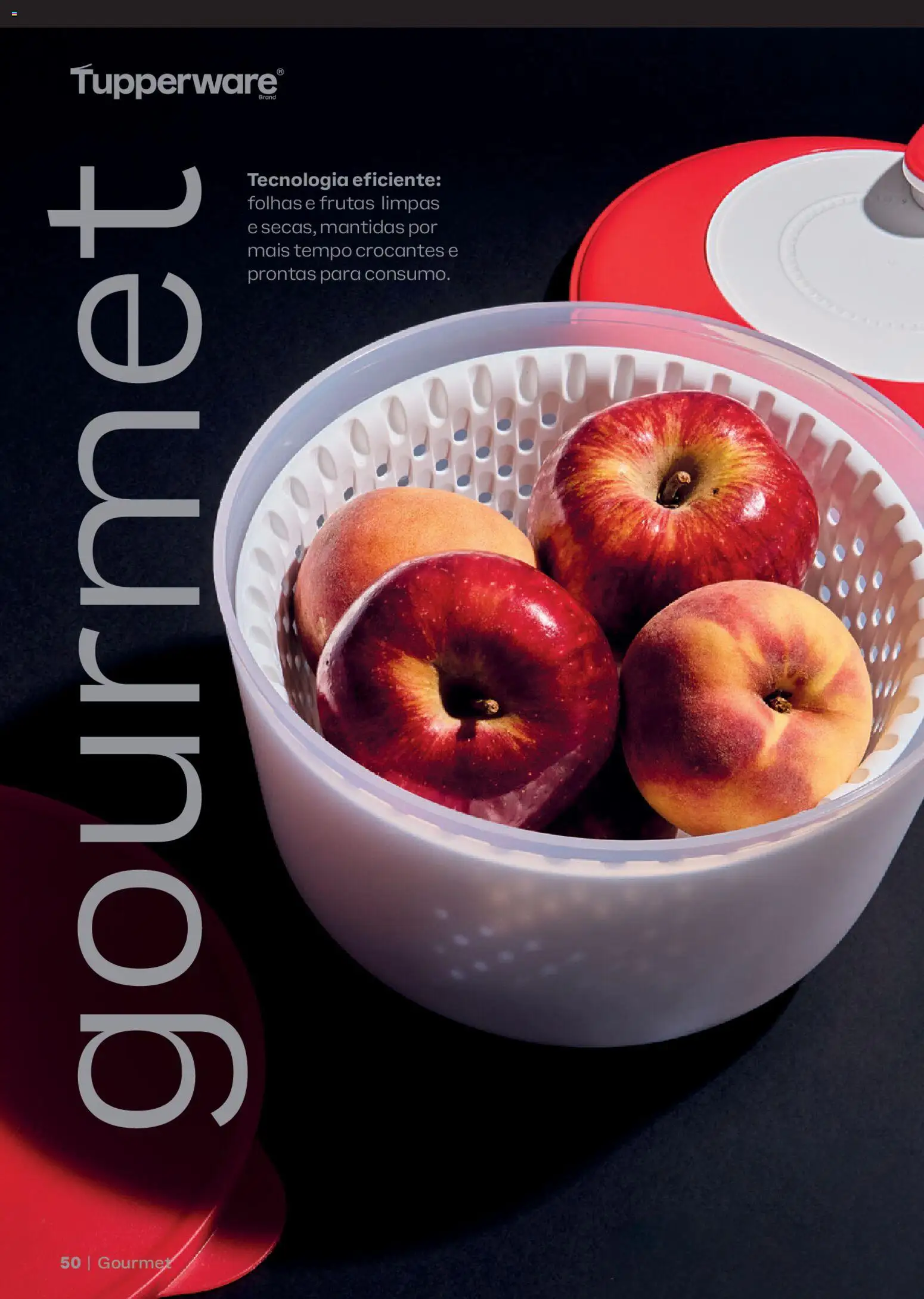 Tupperware Folheto - válido de 01.01.2026 | Página: 50