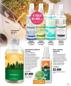 Bagués catálogo │ válido desde el 25.08.2025 | Página: 13 | Productos: Repelente, Fragancia, Citronela, Esencias