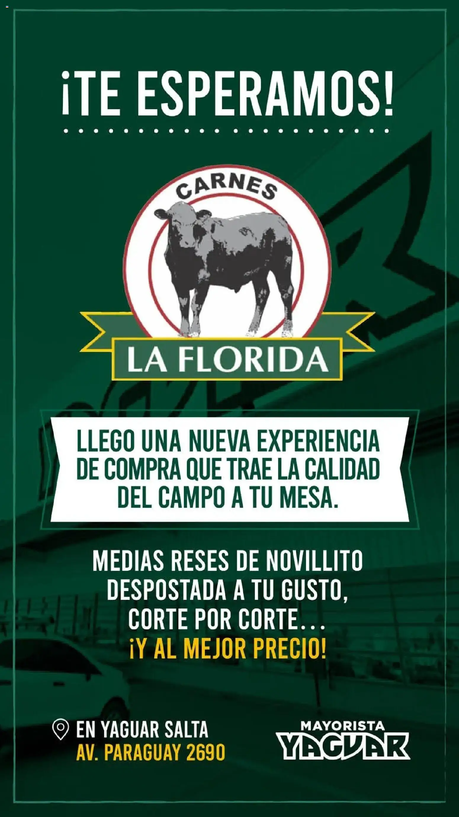 Yaguar - Oferta Semanal Salta │ válido desde el 13.04.2026 | Página: 3 | Productos: Medias