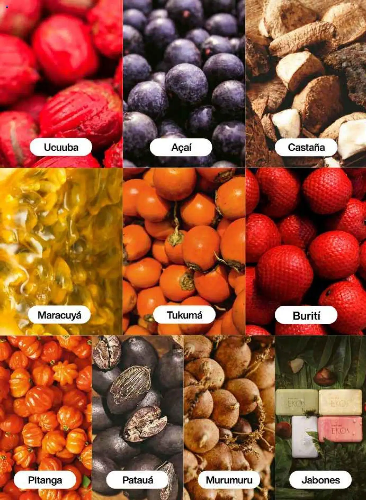 Nuevas ofertas de Natura válidas en toda la República Mexicana desde el 21.07.2025. ¡Encuentra las mejores ofertas en Natura - Campaña12 2025! | Página: 93