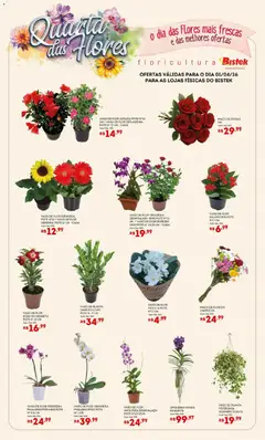 Bistek Supermercados ofertas Quarta das Flores - Pré-Visualização do folheto da loja Bistek Supermercados, válido de 01.04.2026