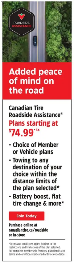 Canadian Tire flyer valid from 14.08.2025 | Page: 39