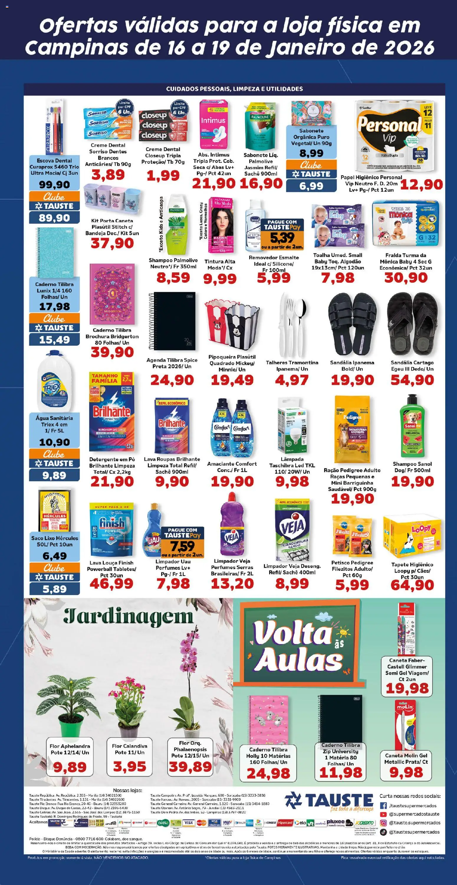 Tauste Folheto - válido de 16.01.2026 | Página: 5 | Produtos: Lâmpada, Pera, Tapete, Perfumes