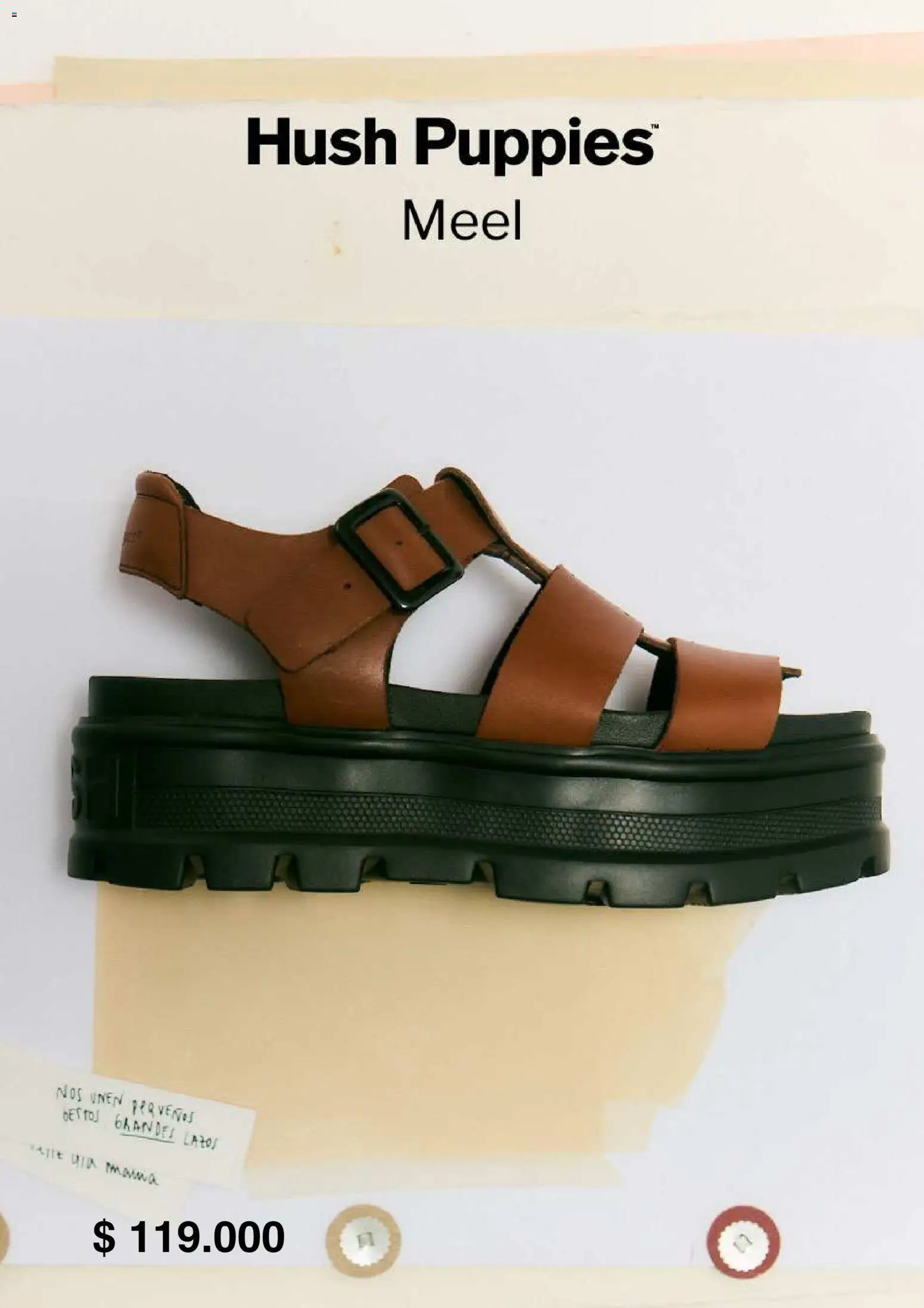 Grimoldi catálogo │ válido desde el 08.12.2025 | Página: 17