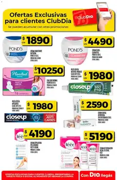 Vista previa Dia - Ofertas  válido desde el 17.12.2025 | Página: 47