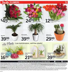 Preview of Loblaws flyer - ON from shop Loblaws valid from 09.04.2026 | Page: 7 | Products: PC