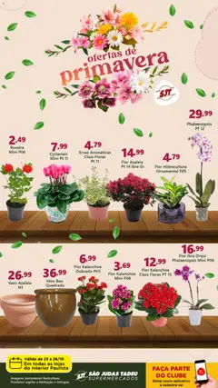 São Judas Tadeu - Ofertas de Primavera - Pré-Visualização do folheto da loja São Judas Tadeu, válido de 23.10.2025