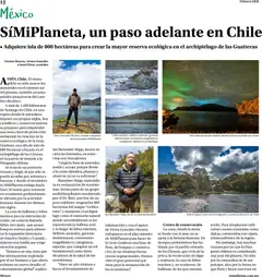 Vista previa de Farmacias Similares catálogo, nuevo folleto de la tienda, válido en México a partir del 01.02.2026 | Página: 12 | Productos: Té