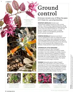 Bunnings Warehouse catalogue - valid from 01.09.2025 | Page: 76 | Products: Native, Plant, Soil, Toothbrush