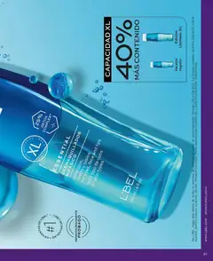 L'Bel - Catálogo C02/2026 -  Vista previa de la revista de la tienda L'Bel valido desde el 01.02.2026 | Página: 51 | Productos: Tintura