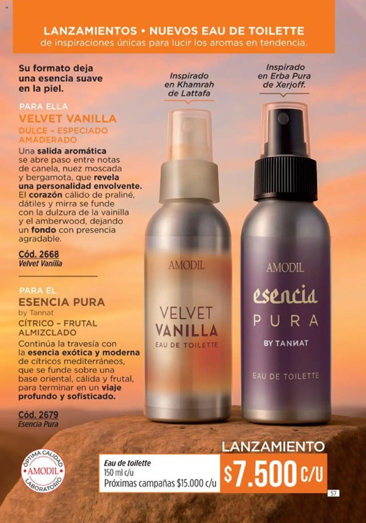 Catálogo Amodil Campaña 12 │ válido desde el 26.06.2025 | Página: 57 | Productos: Sobre, Eau de toilette, Nuez