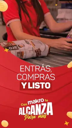 Vista previa Makro ofertas válido desde el 13.11.2025 | Página: 12