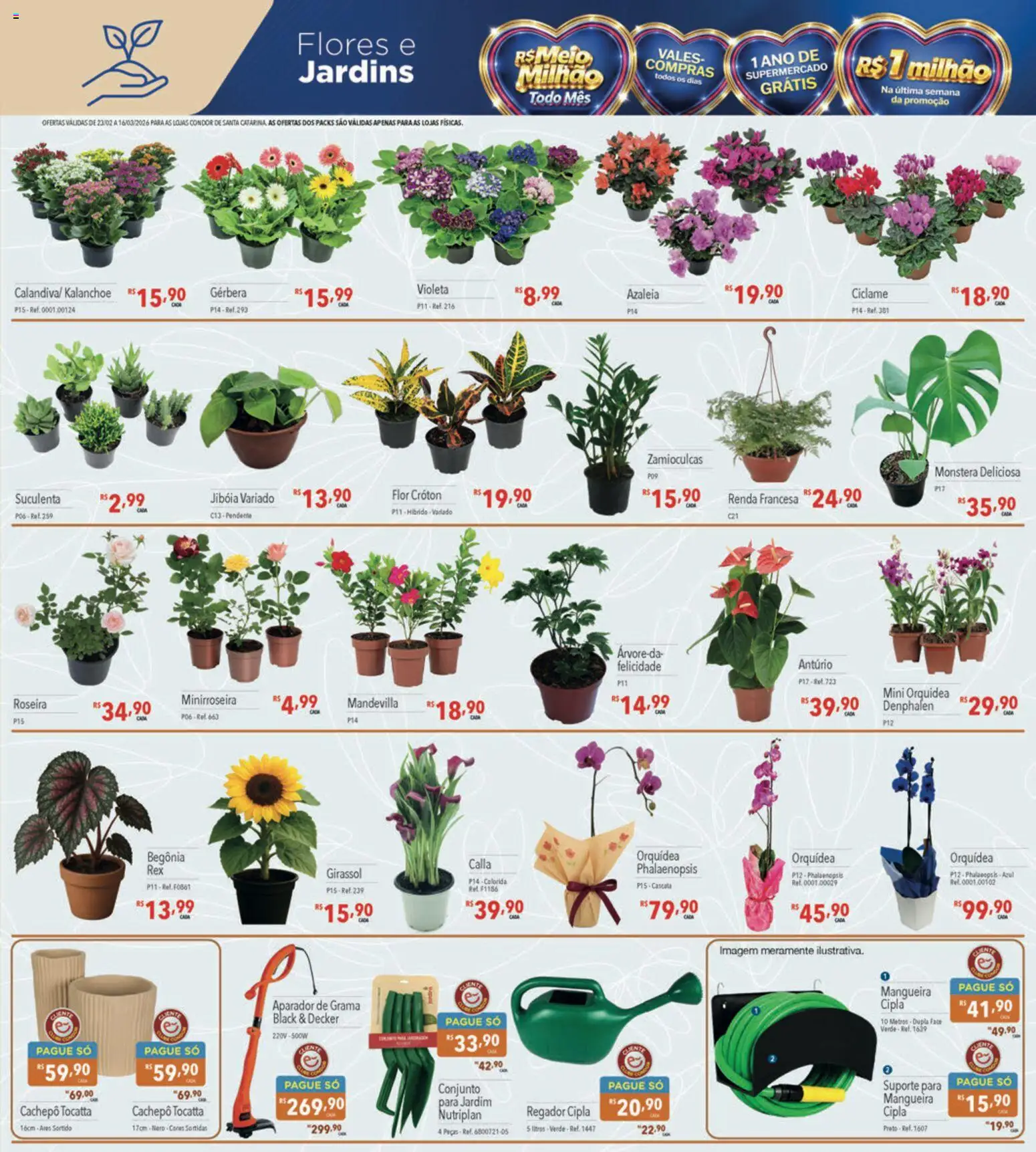Supermercados Condor Folheto - válido de 23.02.2026 | Página: 25 | Produtos: Mangueira, Aparador, Flores, Aparador de grama