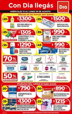 Vista previa Supermercado DIA Ofertas - Salta y Jujuy válido desde el 13.08.2025